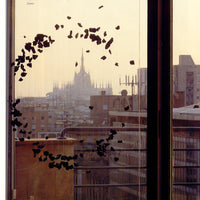 Celestial-2 (Custom Item)