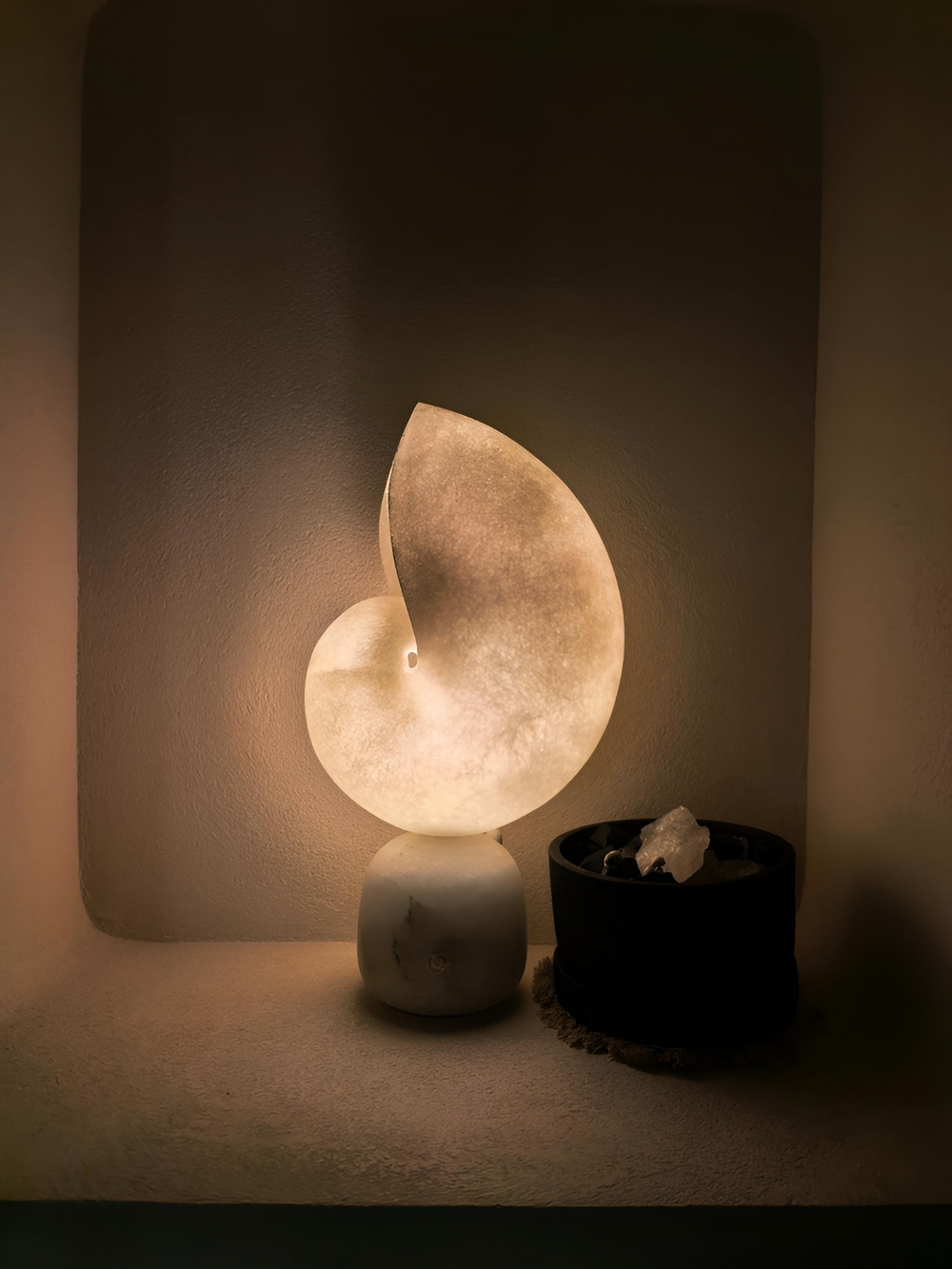 SHELL Table Lamp