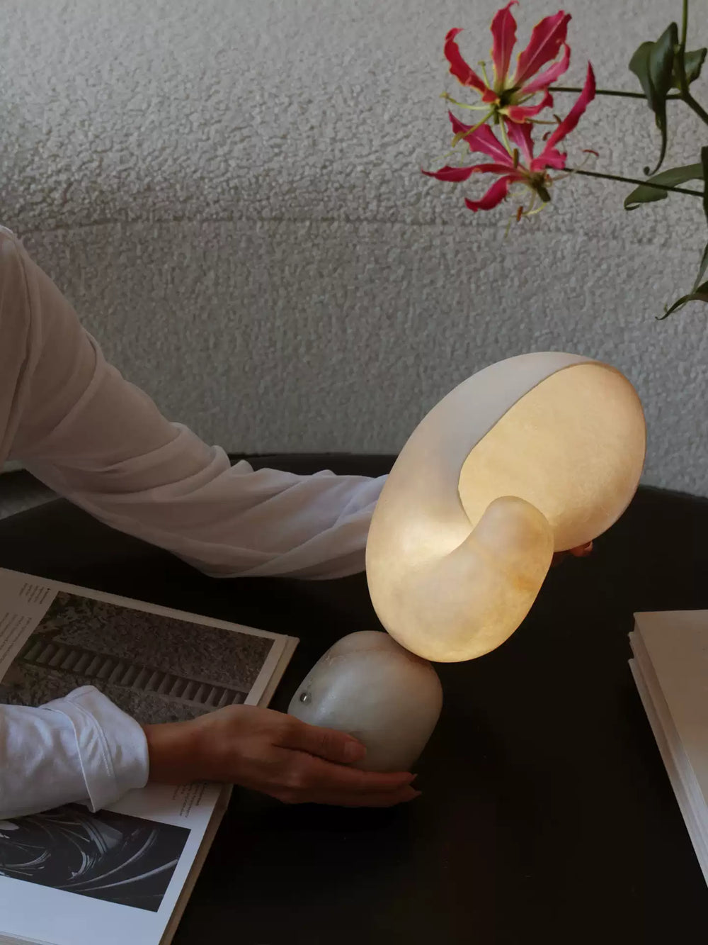 SHELL Table Lamp