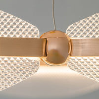 CASPIAN Ring Chandelier
