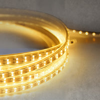 FERENCE Ring Chandelier