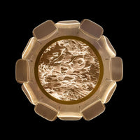 FLORISTA Chandelier