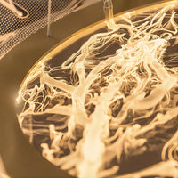 FLORISTA Chandelier