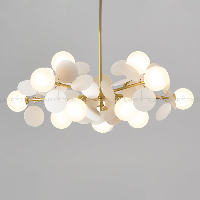 MATISSE SELF Chandelier