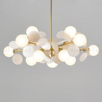 MATISSE SELF Chandelier