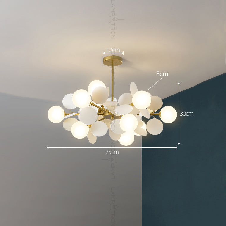 MATISSE SELF Chandelier