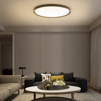 EXTRASLIM Ceiling Chandelier