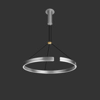 VEIKKO ONE Ring Chandelier